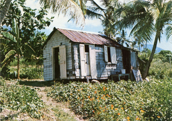 Typical Peasant's House, Montserrat - Carey's Emporium