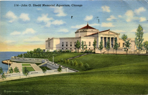 John G. Shedd Memorial Aquarium, Chicago, IL-Carey's Emporium