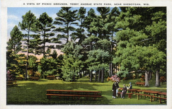 A Vista of Picnic Grounds, Terry Andrae State Park, near Sheboygan, WI-Carey's Emporium