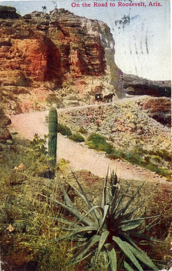 On the Road to Roosevelt, AZ-Carey's Emporium