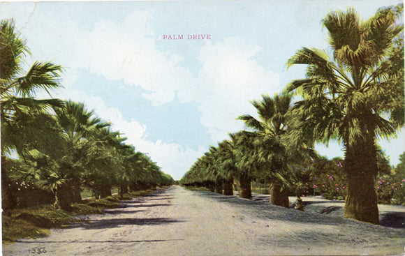 Palm Drive, Los Angeles, CA-Carey's Emporium