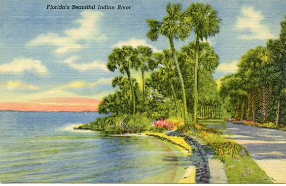 Florida's Beautiful Indian River-Carey's Emporium