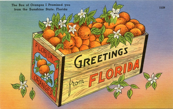 Greetings from Florida-Carey's Emporium