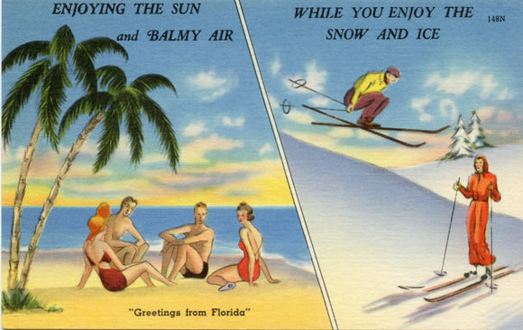 Greetings from Florida-Carey's Emporium