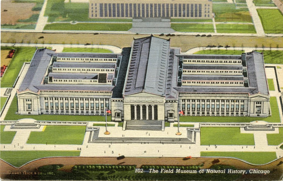 The Field Museum of Natural History, Chicago, IL-Carey's Emporium