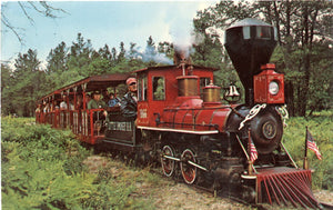 1866 Pioneer Train, Grayling, MI-Carey's Emporium