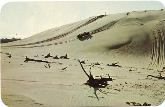 Bill's Dune Rides, Mears, MI-Carey's Emporium