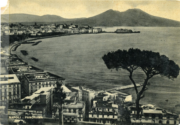 Napoli Panorama [Postcard]