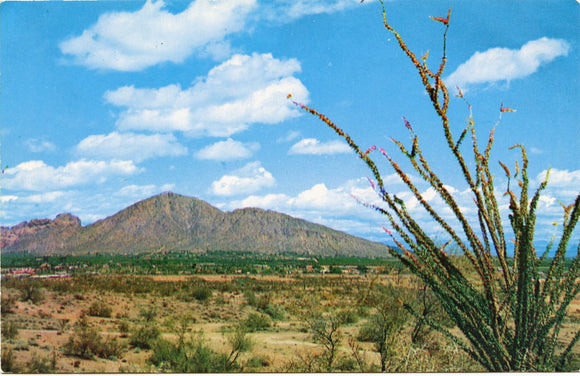 Famous Camelback Mountain, AZ [Postcard]
