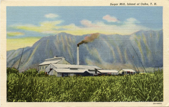 Sugar Mill, Island of Oahu, TH [Postcard]