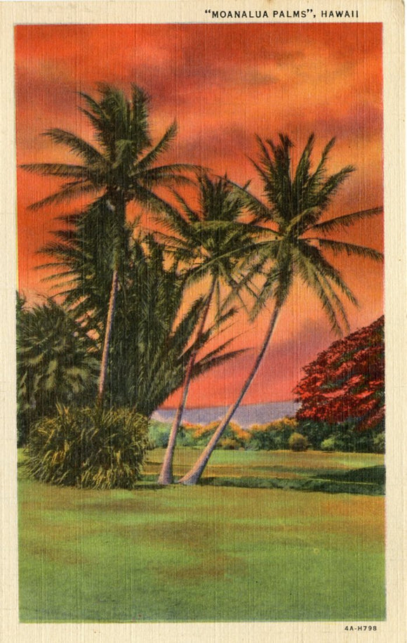 Moanalua Palms, HI [Postcard]