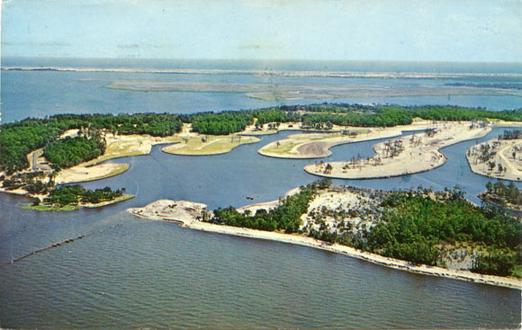Colington Harbour, NC [Postcard]