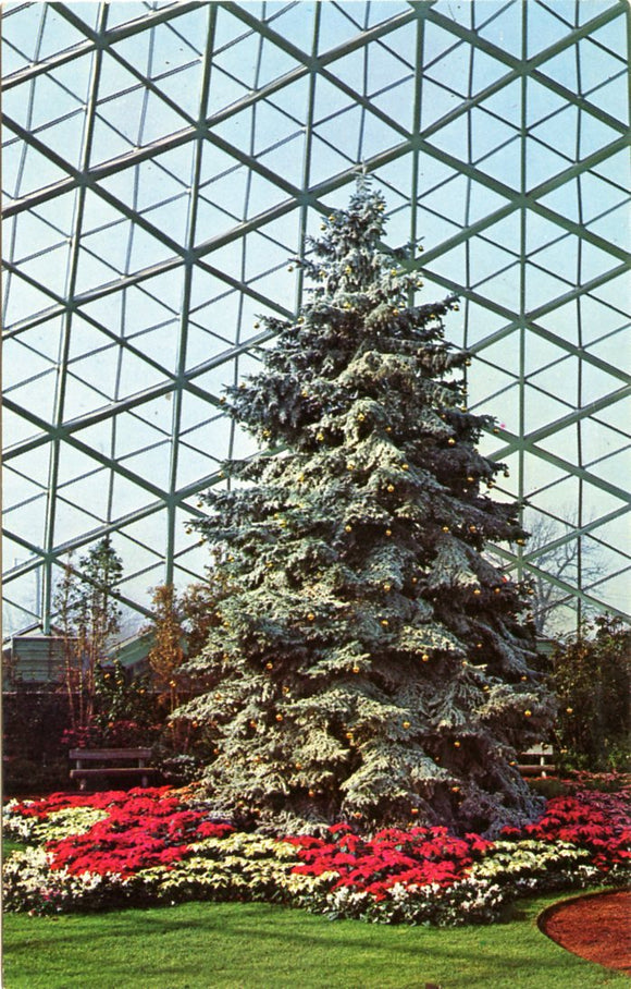 Mitchell Park, Milwaukee, WI [Postcard]