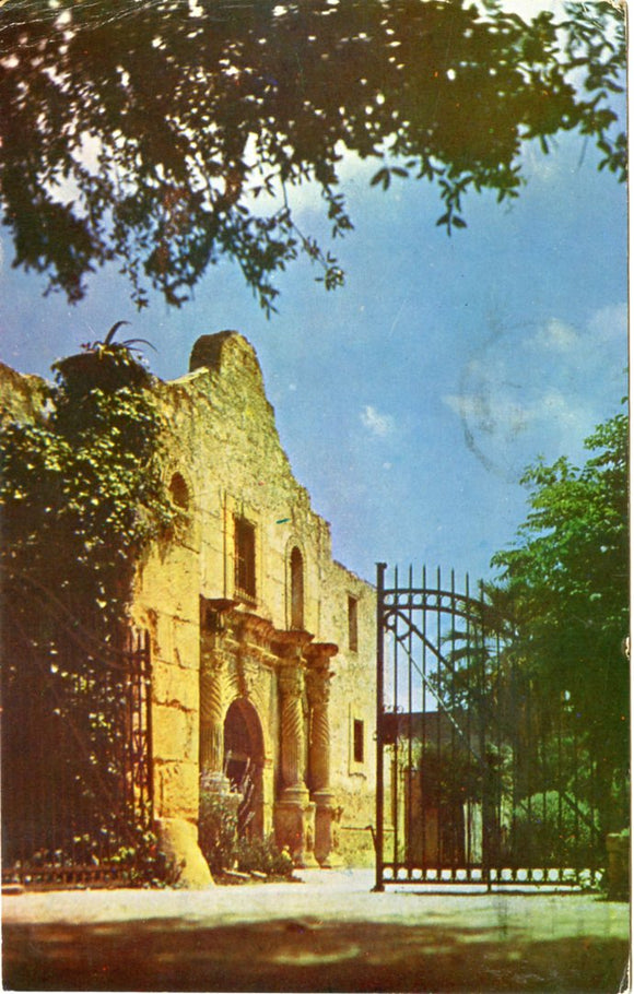 The Alamo, San Antonio, TX [Postcard]