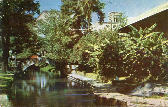 San Antonio River, San Antonio, TX [Postcard]
