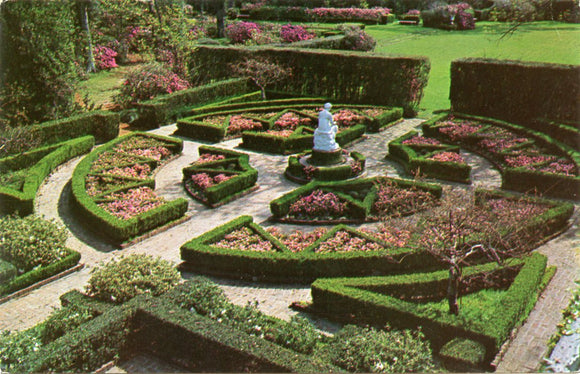 Clio Garden, Houston, TX [Postcard]