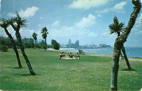 Cole Park, Corpus Christi, TX [Postcard]