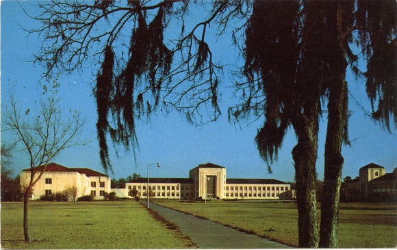 University of Houston Campus, Houston, TX [Postcard]