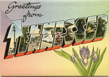 Souvenir Folder of Tennessee [Postcard]