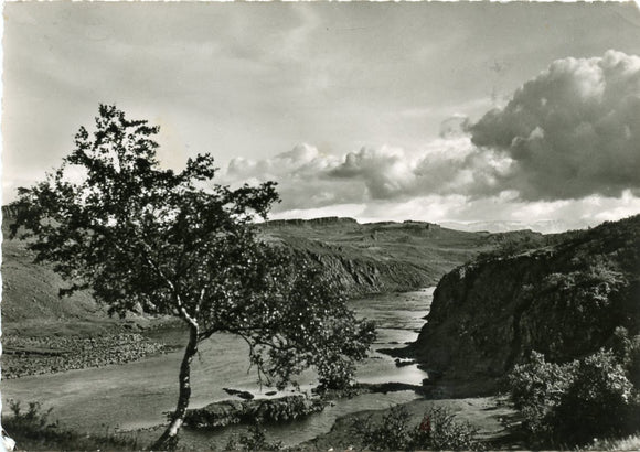 Norourd L Borgarfirol, Iceland [Postcard]