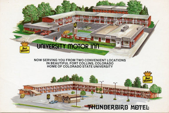 University Motor Inn, Thunderbird Motel, Fort Collins, CO [Postcard]