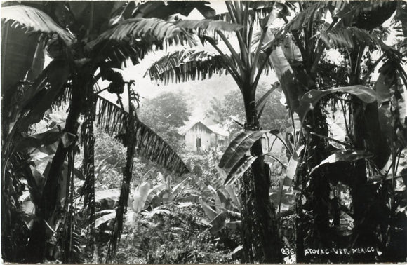 Atoyac [Postcard]