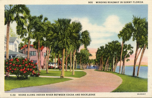 Scene Along Indian River Between Cocoa and Rockledge, FL [Postcard]