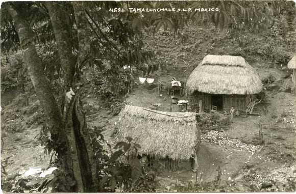 Tamazunchales, L. P., Mexico [Postcard]