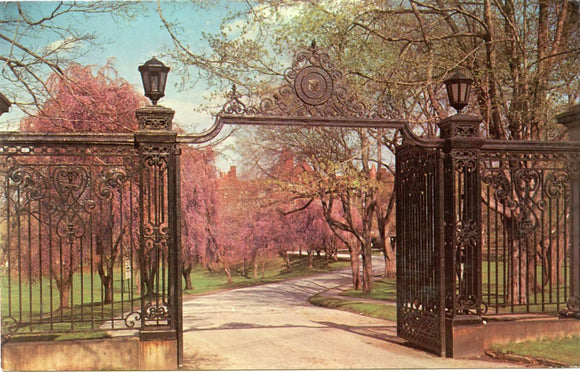 Main Gate, The Baldwin School, Bryn Mawr, PA [Postcard]