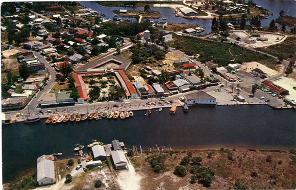 Tarpon Springs Sponge Docks, Tarpon Springs, FL [Postcard]
