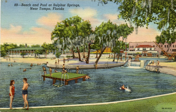 Beach and Pool at Sulphur Springs, near Tampa, FL [Postcard]