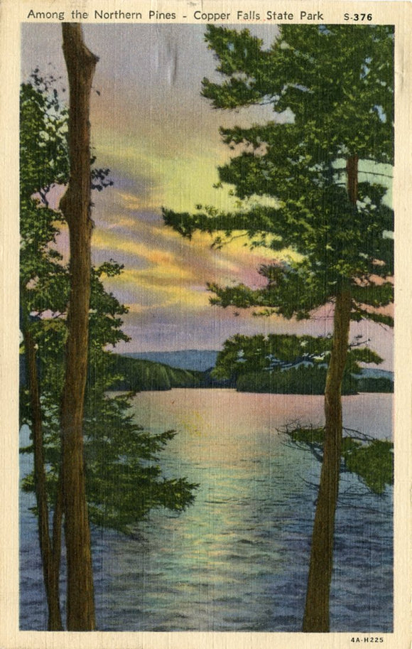 Among the Northern Pines, Copper Falls State Park, WI [Postcard]