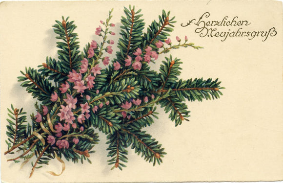 Herzlichen Neujahrsgruss [Postcard]