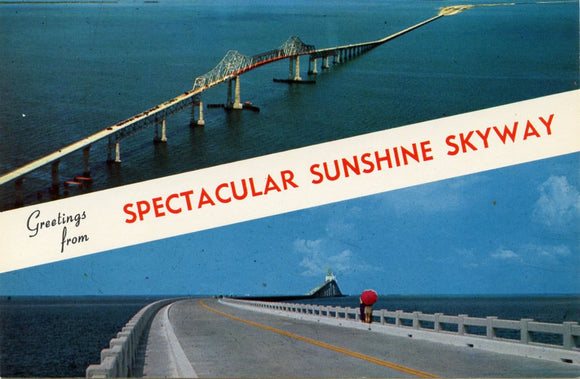 Greetings from Spectacular Sunshine Skyway, St. Petersburg, FL [Postcard]