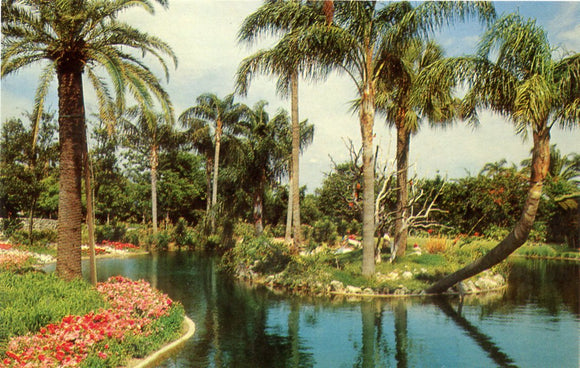 Busch Gardens, Tampa, FL [Postcard]