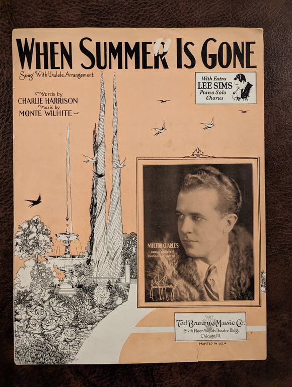 When Summer is Gone by Charlie Harrison and Monte Wilhite