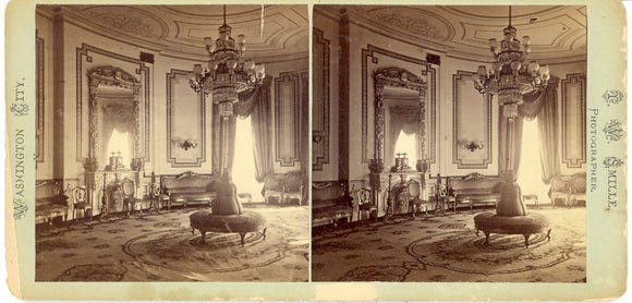 White House, Blue Room - Carey's Emporium