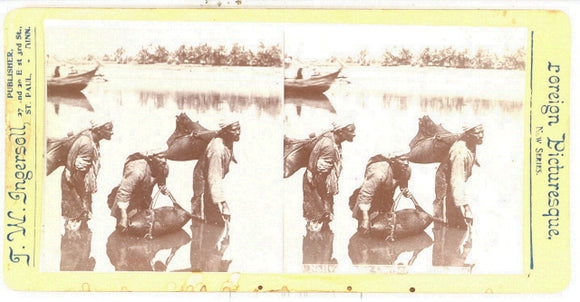 Egypt, Native Water Carrier on River Nile - Carey's Emporium